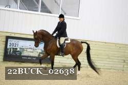 22BUCK_02638 proof