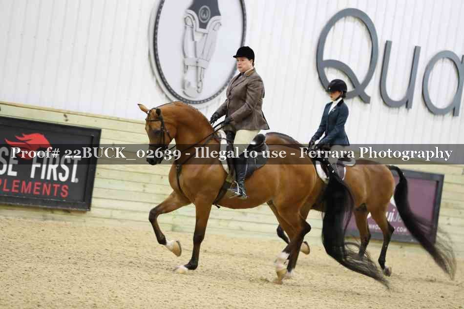 Proof 22BUCK_02639