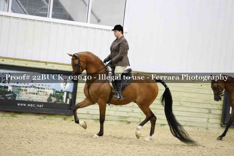 Proof 22BUCK_02640