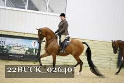 22BUCK_02640 proof