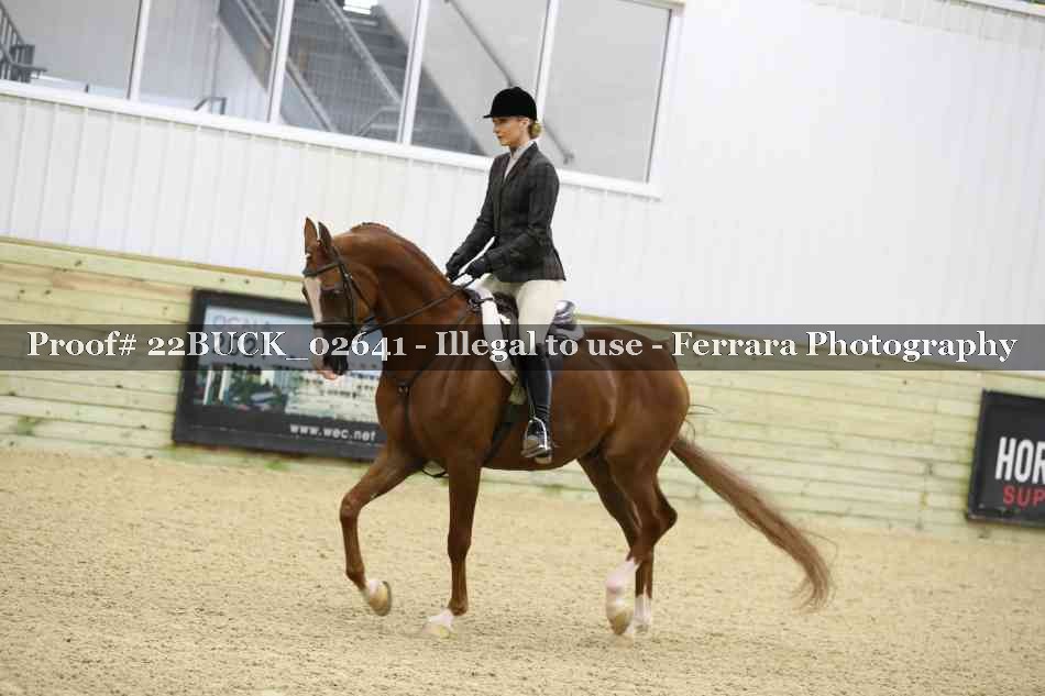 Proof 22BUCK_02641