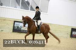 22BUCK_02641 proof