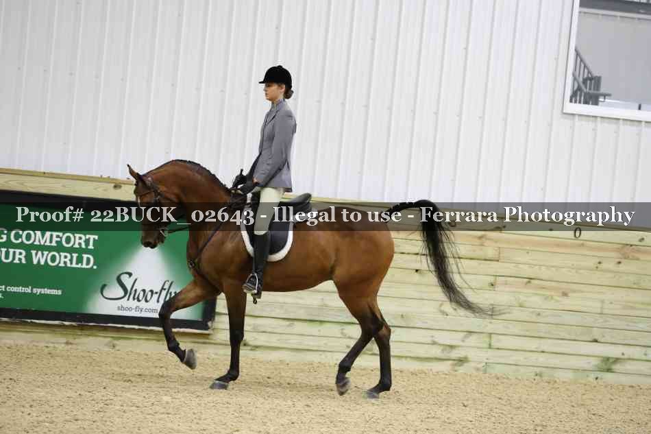 Proof 22BUCK_02643