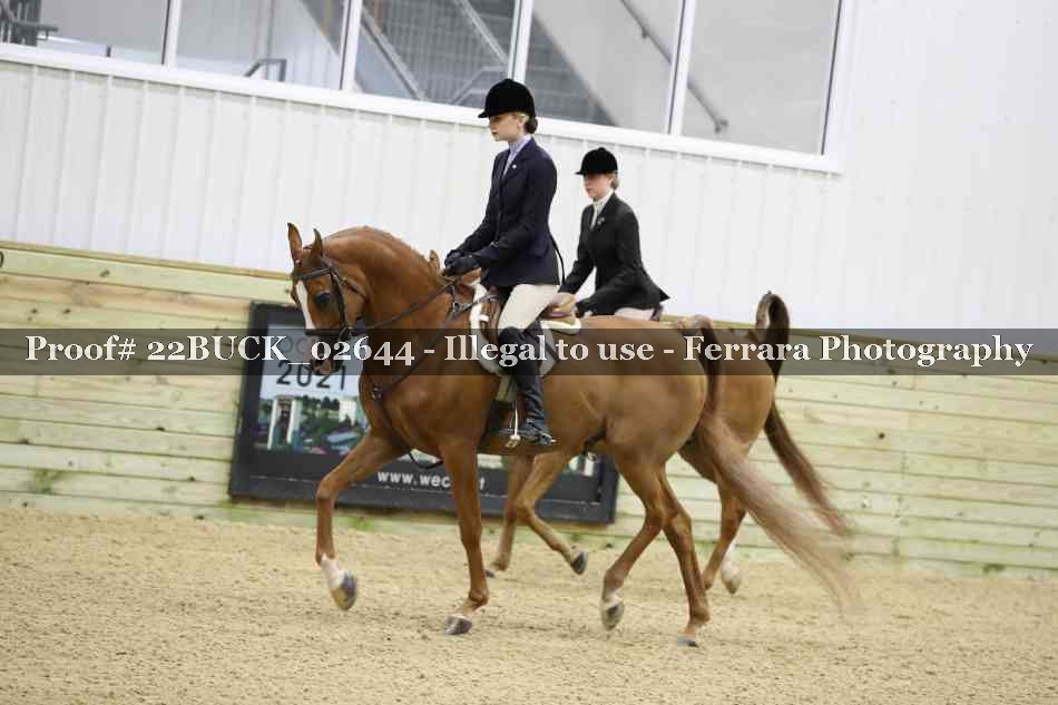 Proof 22BUCK_02644