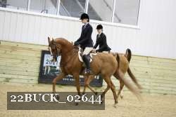 22BUCK_02644 proof