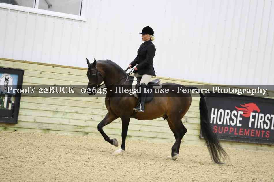 Proof 22BUCK_02645
