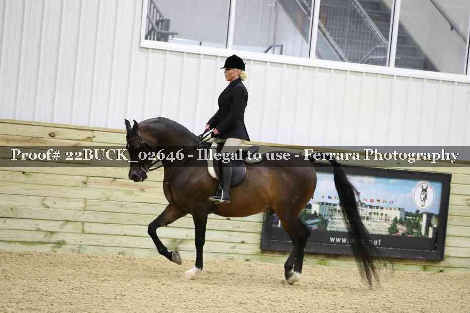 Proof 22BUCK_02646
