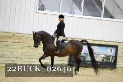 22BUCK_02646 proof