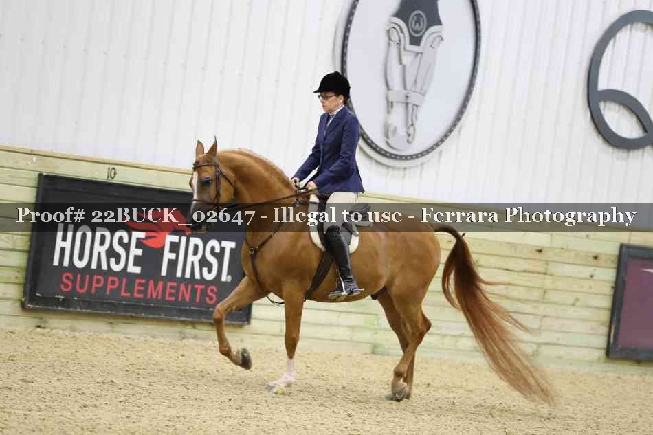 Proof 22BUCK_02647