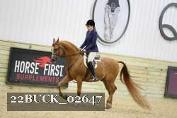 22BUCK_02647 proof