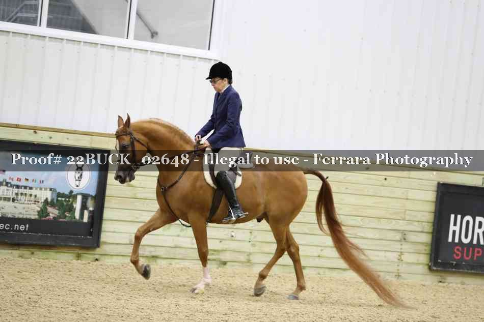Proof 22BUCK_02648
