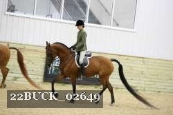 22BUCK_02649 proof