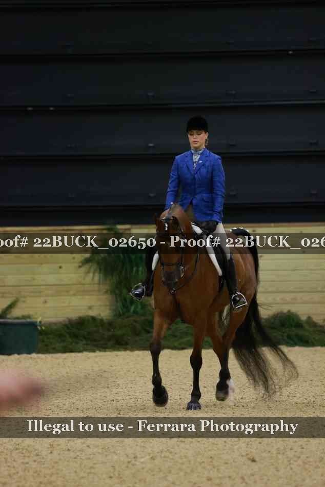 Proof 22BUCK_02650