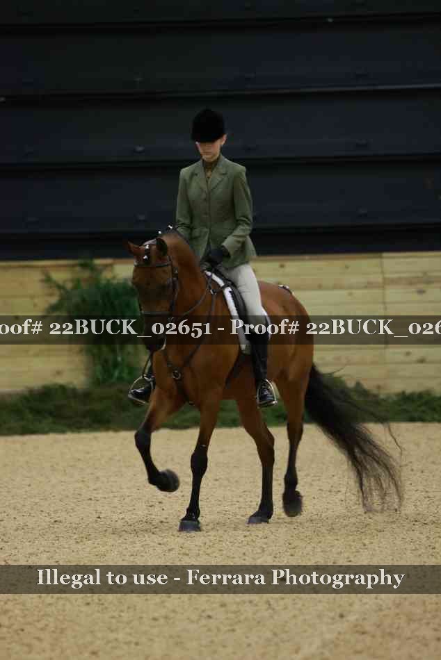 Proof 22BUCK_02651
