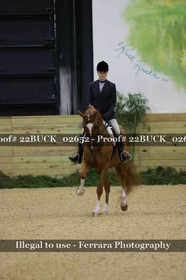 Proof 22BUCK_02652