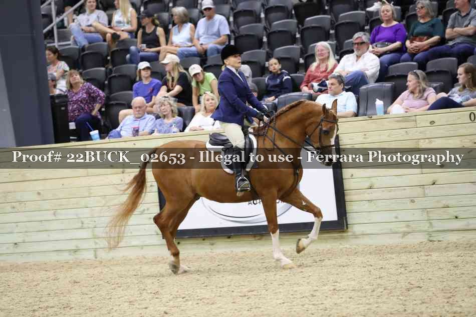 Proof 22BUCK_02653