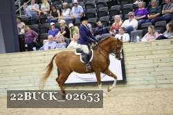 22BUCK_02653 proof