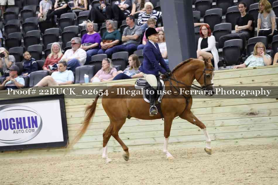 Proof 22BUCK_02654