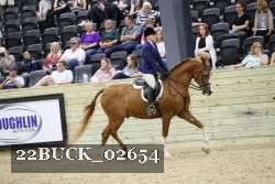 22BUCK_02654 proof