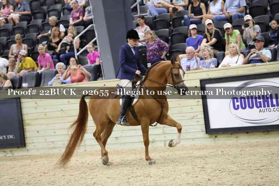 Proof 22BUCK_02655