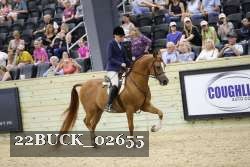 22BUCK_02655 proof