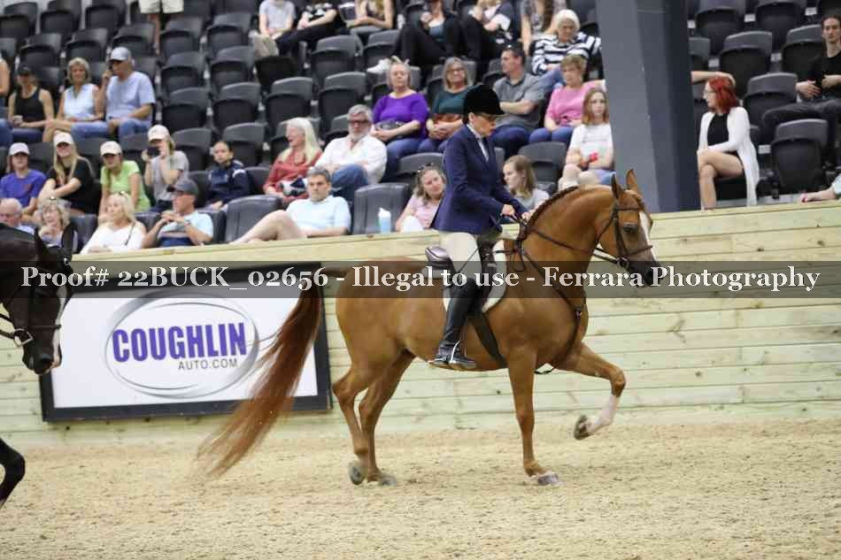 Proof 22BUCK_02656