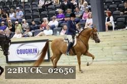 22BUCK_02656 proof