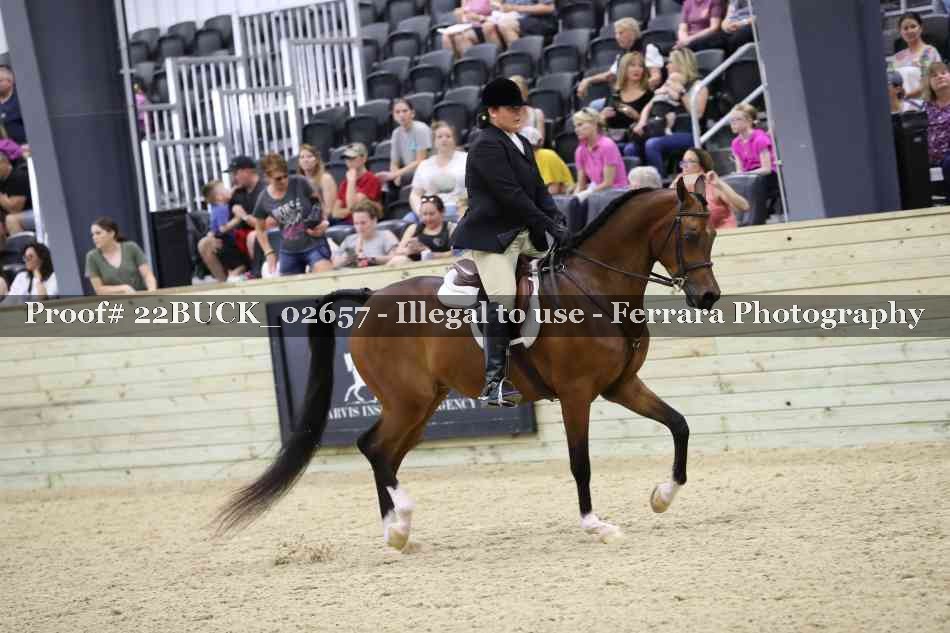 Proof 22BUCK_02657