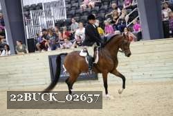 22BUCK_02657 proof