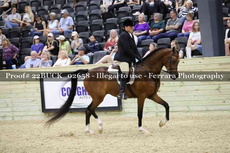 Proof 22BUCK_02658