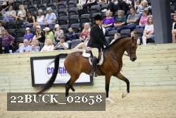 22BUCK_02658 proof