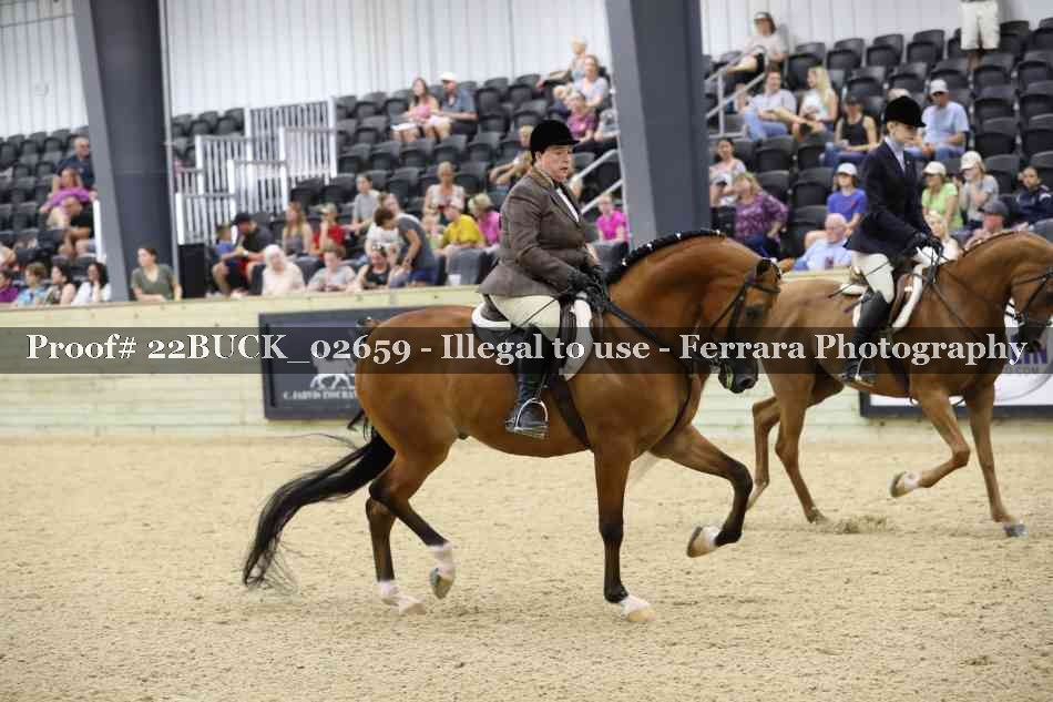 Proof 22BUCK_02659
