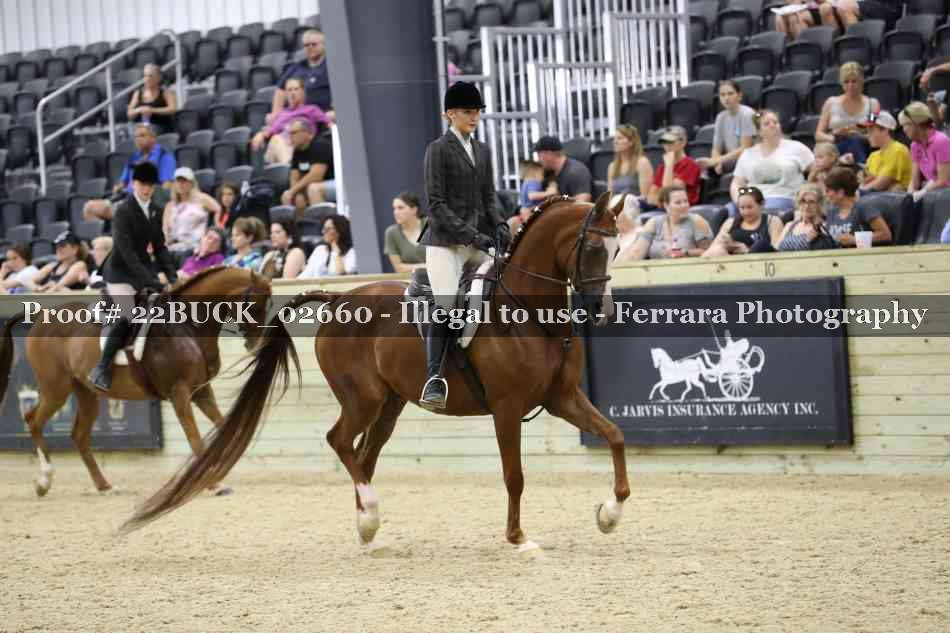 Proof 22BUCK_02660
