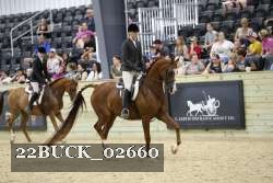 22BUCK_02660 proof