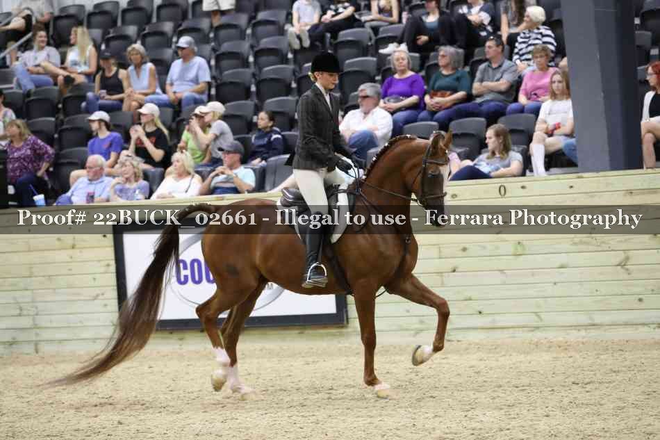 Proof 22BUCK_02661