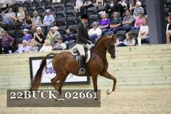 22BUCK_02661 proof