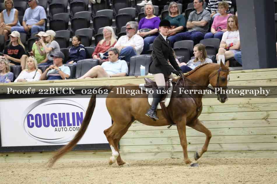 Proof 22BUCK_02662