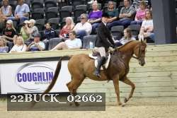 22BUCK_02662 proof