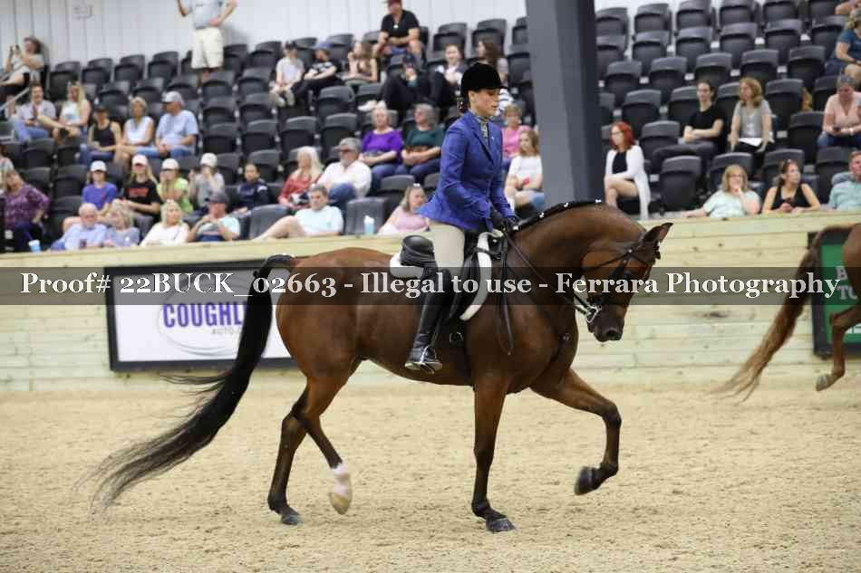 Proof 22BUCK_02663