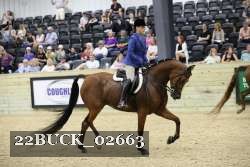 22BUCK_02663 proof