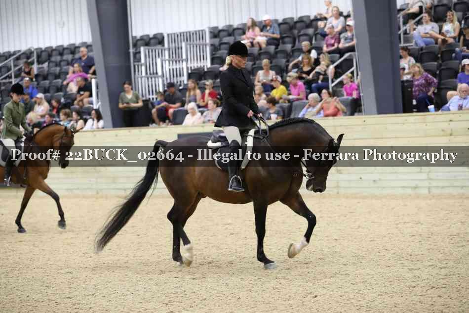 Proof 22BUCK_02664