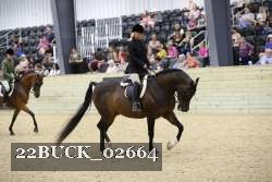 22BUCK_02664 proof