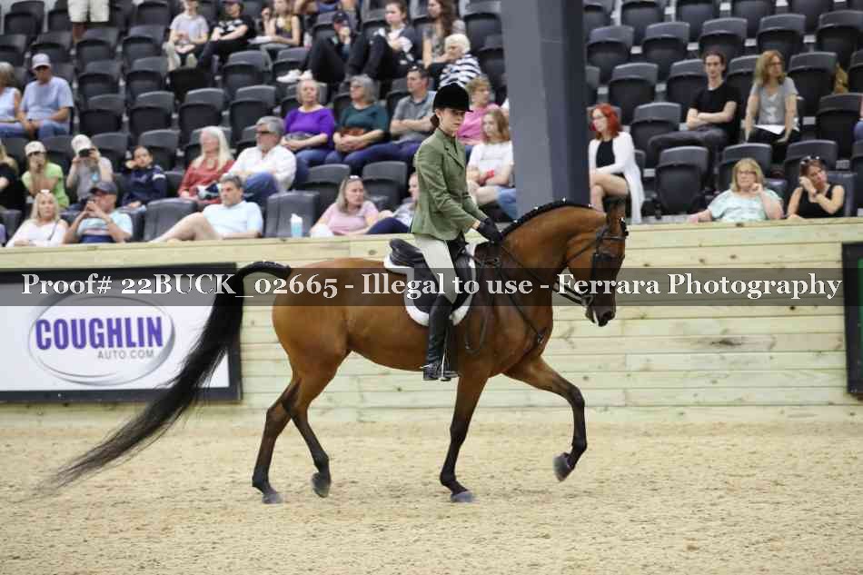 Proof 22BUCK_02665