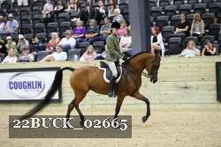 22BUCK_02665 proof