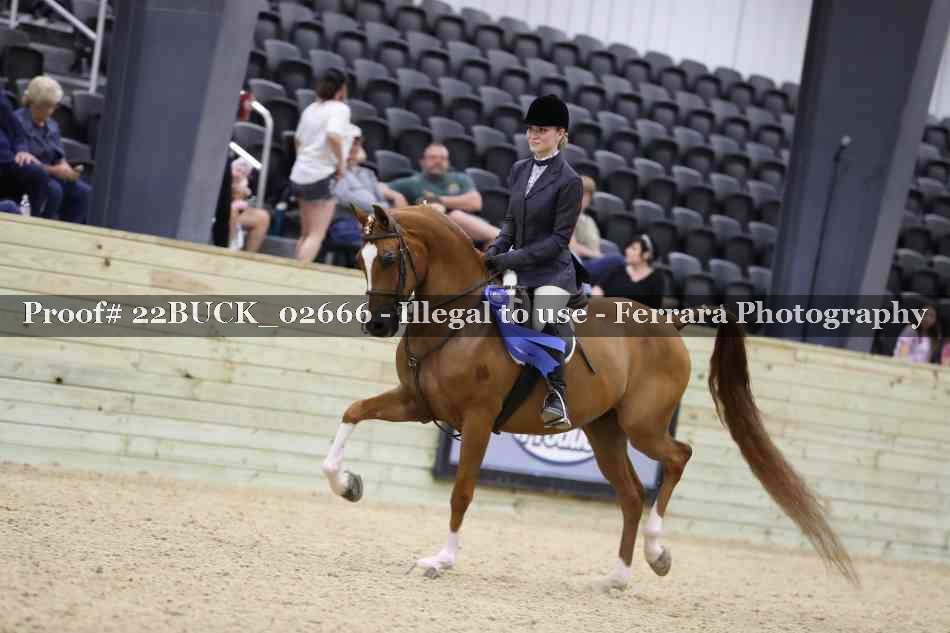 Proof 22BUCK_02666