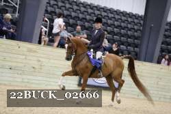 22BUCK_02666 proof