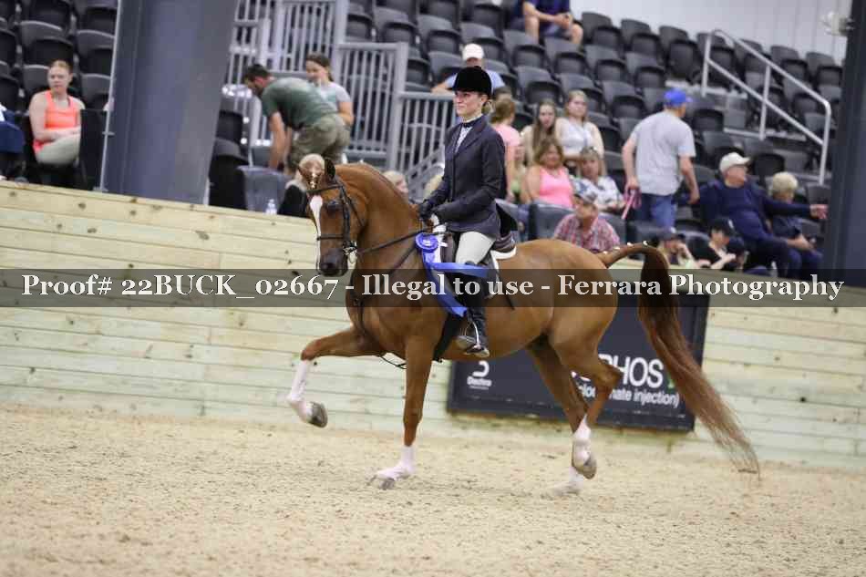 Proof 22BUCK_02667