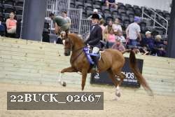 22BUCK_02667 proof