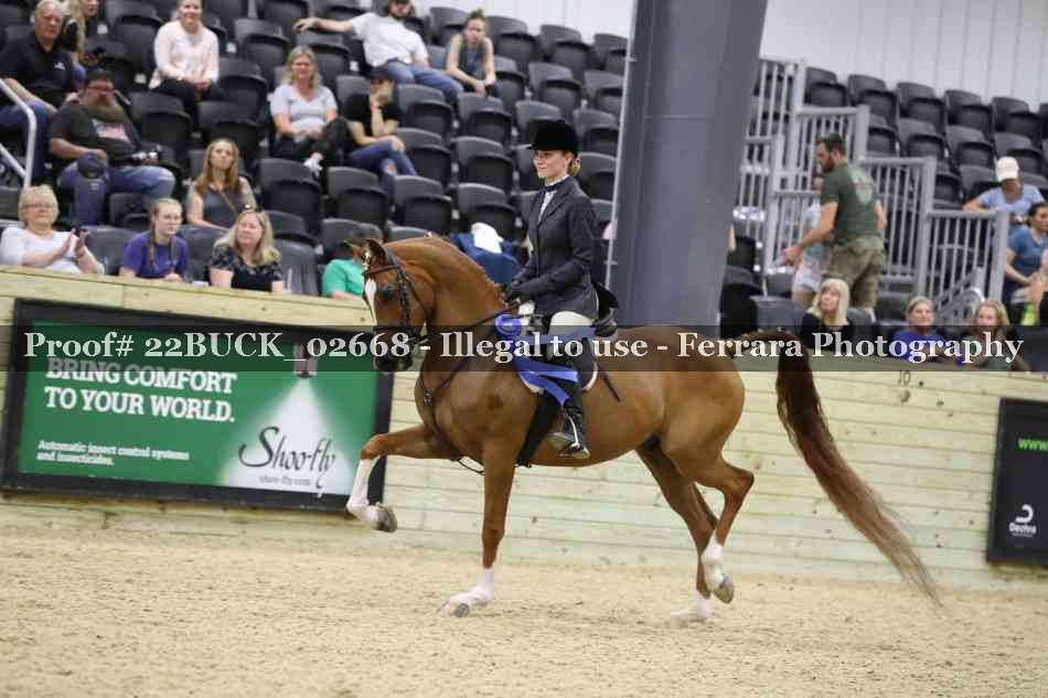 Proof 22BUCK_02668