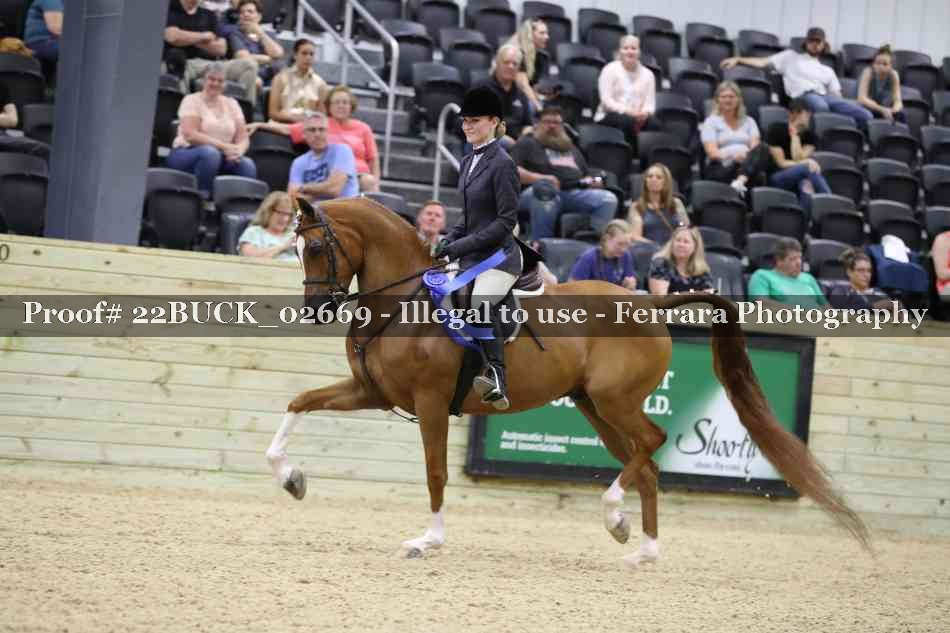 Proof 22BUCK_02669